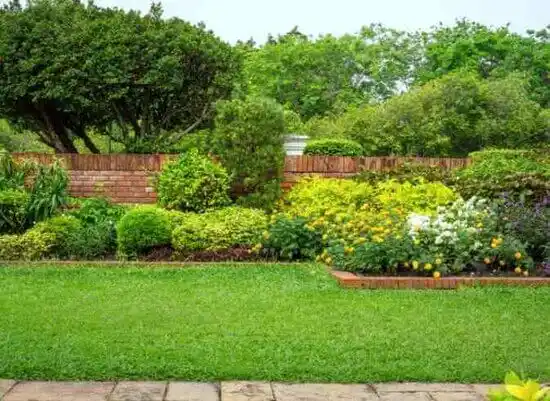 landscaping services Mint Hill